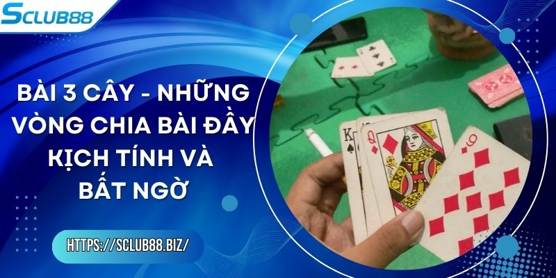 Bài 3 Cây - Những Vòng Chia Bài Đầy Kịch Tính Và Bất Ngờ Bài 3 Cây - Những Vòng Chia Bài Đầy Kịch Tính Và Bất Ngờ