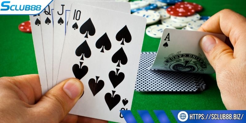 Khám phá kỹ thuật lừa thú vị với cách chơi bluff Khám phá kỹ thuật lừa thú vị với cách chơi bluff